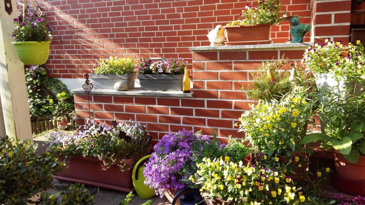Romantikgarten Amelinghausen Exterior foto