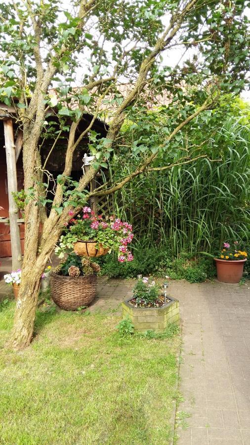 Romantikgarten Amelinghausen Exterior foto