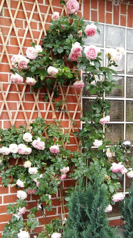 Romantikgarten Amelinghausen Exterior foto